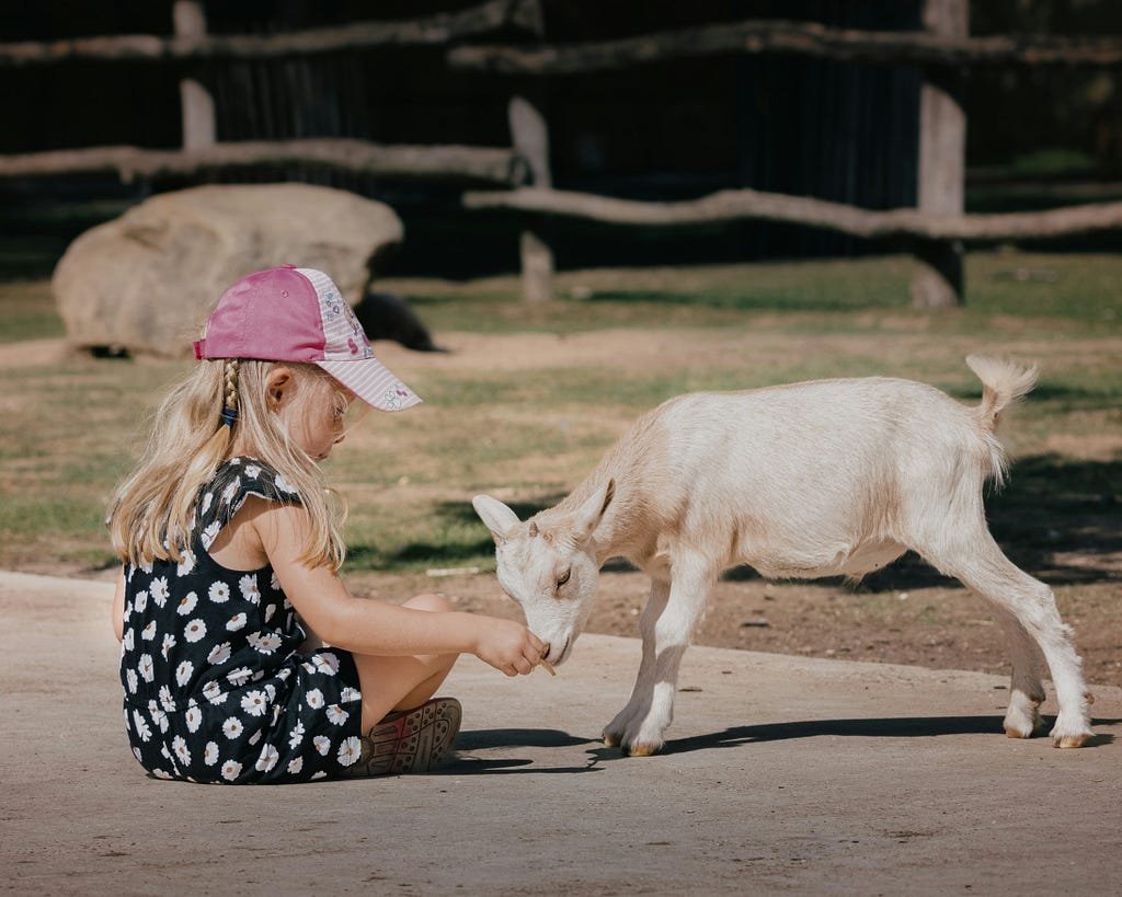 C Perret on Unsplash