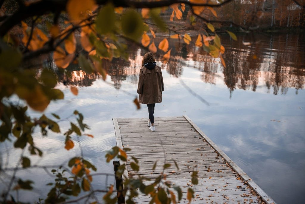 Vladimir Fedotov on Unsplash
